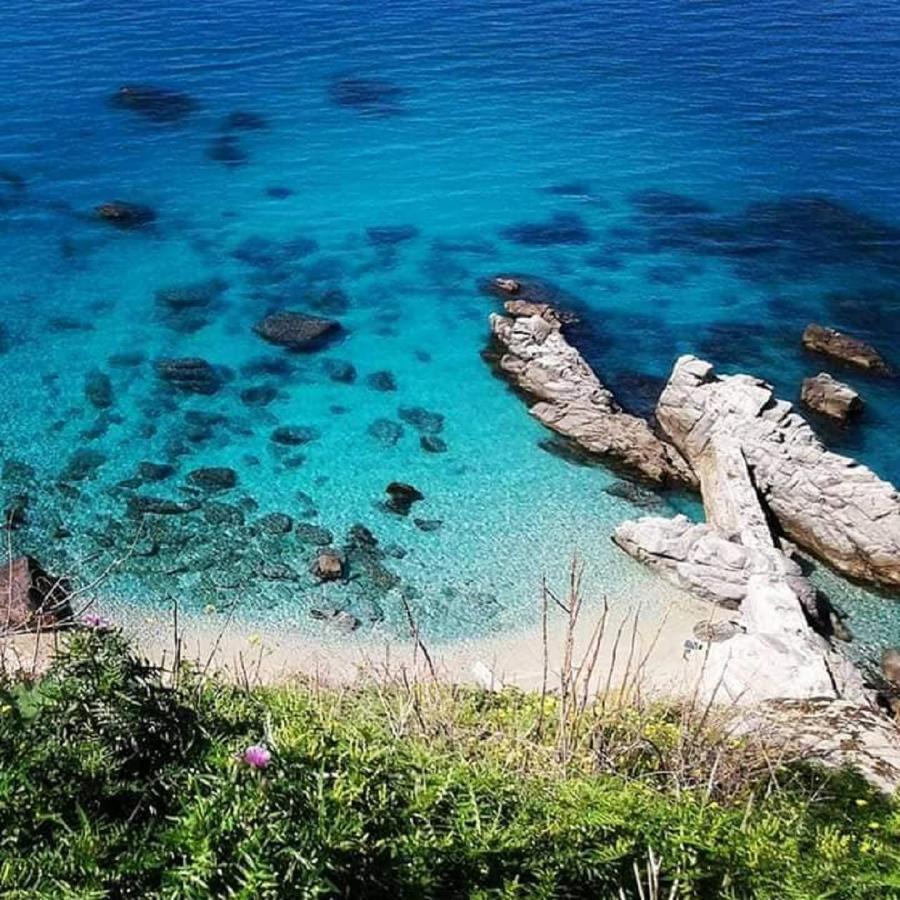 Ninfa Sul Mare Apartments 50 M E T R I Dal Mare Parcheggio Gratuito Custodito Capo Vaticano Exteriör bild